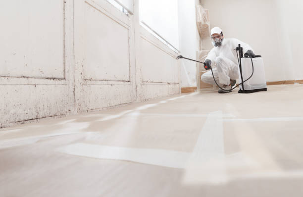 24/7 Emergency Basement Mold Remediation experts in Germantown, MD