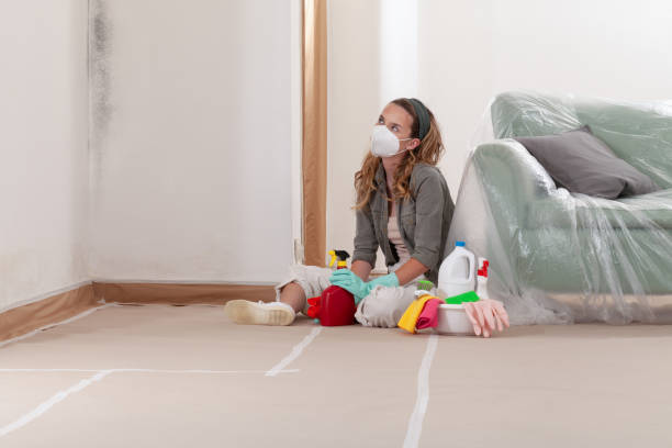 Reliable Basement Mold Remediation contractor in Germantown, MD by WQB Mold Removal